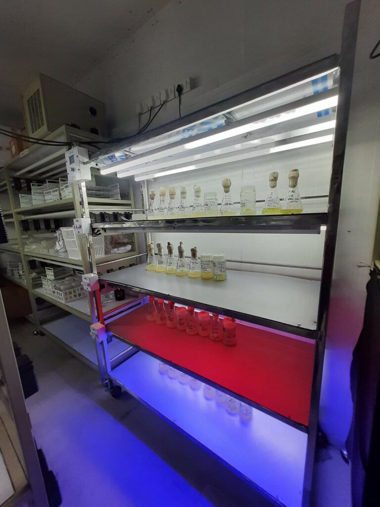 thinghz smart tissue culture rack